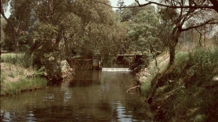 Colour photo of lake surrounded by trees and grassland 